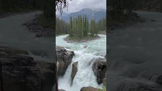 Sunwapta Falls Alberta  Stunning Waterfall in the Canadian Rockies 🌊 [upl. by Decamp810]