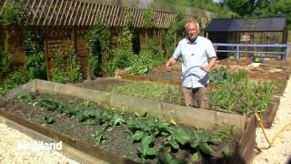 Arrosage pratique et économique  installer un tuyau microporeux  Jardiland FR TV [upl. by Esinrahc]