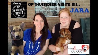 OP HUISDIER VISITE BIJJARA  2 met info stgtfriends4straydogs [upl. by Lindly]