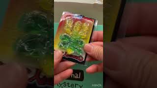 Mystery Bag unboxing mystery mysterybag viral trending video normal [upl. by Elo799]