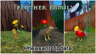 Feather Family Pheasant Update [upl. by Atiuqcaj]