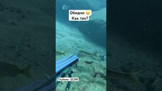 Подводная охота на Канарских островах 235M Как так🤬 spearfishing pescasubmarina tenerife [upl. by Ingrim473]