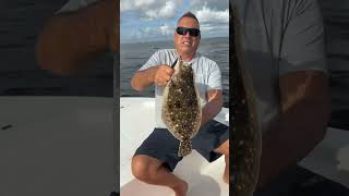 Catching flounder in paradise Florida living tampa bay [upl. by Karylin]