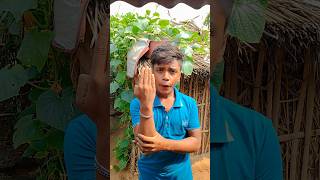 Chacha ko English mein kya kahate Hain comedy video comedy realfoolsfunny funny 🤣🤣😆😆 [upl. by Duane]