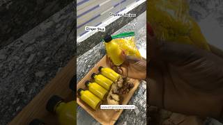 Homemade Ginger Shot Ginger Shot Recipes shortsyoutube herbalhealth shorts [upl. by Nylekoorb]