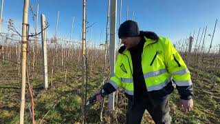 TEST sekatorów elektrycznych z Cielmus  Nativa Small  Work It30 [upl. by Birck151]