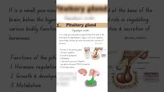 Parts of the pituitary gland and their function with detailed information in தமிழ் [upl. by Coulombe]