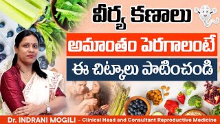 How to Boost Sperm Count Naturally in Telugu  Male Fertility Diet Plan  Fertility TV  Hegde [upl. by Ahsina]