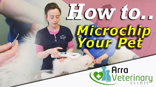 Microchip Your Pet  How to Microchip a Cat or Dog  Fear Free [upl. by Drazze]