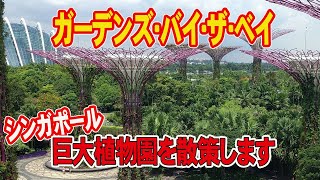 【ガーデンズバイザベイ】都会のオアシス♪巨大植物園のスケールに感動！ [upl. by Aytac988]