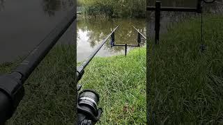 Carp run on sonik sks fishing carpfish fish carpfishing carpbitesamprunsuk [upl. by Solomon]