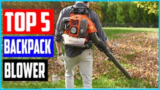 Top 5 Best Backpack Blower in 2021 – Review with Buyer’s Guide  Top 5 Picks [upl. by Zorah921]