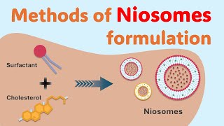 Mastering Niosomes Preparation Techniques  Methods of Niosomes preparation  Niosomes synthesis [upl. by Callida554]