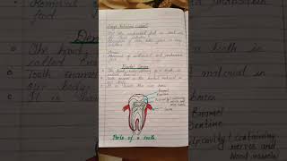 Dental cariesClass 10 biology lifeprocessclass10 notes [upl. by Aloek733]