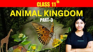 Animal Kingdom  Part 3  Chordates  Biology  Class 11  NCERT  Adhyayanta [upl. by Nnaeirb102]