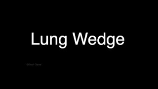 Lung Wedge  Grossing [upl. by Atener]