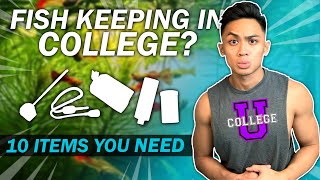 10 ITEMS TO BUY for Keeping Fish in College  Complete Guide to Aquariums in Dorms  Part 1 [upl. by Marcy]