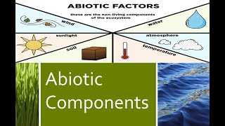 The Components of the Ecosystem Abiotic Factors [upl. by Dilahk]