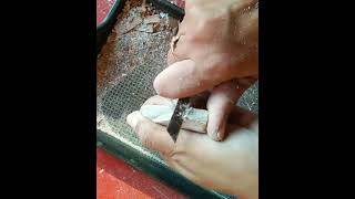 RedBlack white unshaped slates items cleaning CravingRelaxingASMR260 [upl. by Kcirderfla]