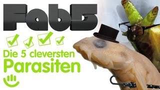 Die 5 cleversten Parasiten  Fab5 [upl. by Sherborne]