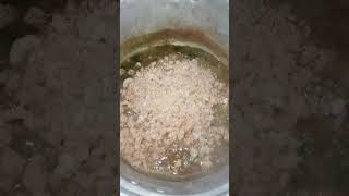 In progress of cooking Sauteed Monggo Beans shortsvideo [upl. by Ohploda]