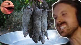 Forsen Reacts  Fried Rat in simple recipe with mango sauce in my village ratcooking friedrat [upl. by Steady756]