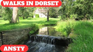 WALKS IN DORSET at ANSTY  BINGHAMs MELCOMBE amp HILTON 4K [upl. by Nnylsaj]