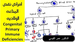 امراض نقص المناعه الولاديه  Congenital Primary Immune Deficiencies [upl. by Ojahtnamas]