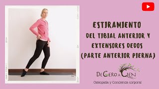 Estiramiento del tibial anterior y extensores de los dedos del pie parte anterior de la pierna [upl. by Ruel214]