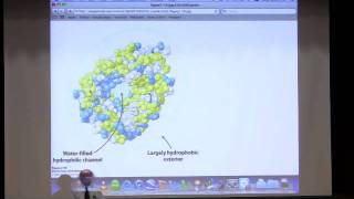 Kevin Aherns BiteSized Biochemistry 5 Protein Structure III [upl. by Siaht70]