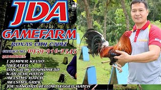 Lets Visit The Farm Of JDA Gamefarm [upl. by Humph232]