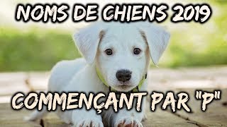 🐕Idées noms de chiens 2019 commençant par quotPquot🐕 [upl. by Nitsoj772]