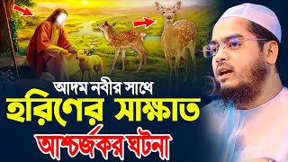 আদম নবী ও হরিণ এর আশ্চর্জকর ঘটনাহাফীজুর রহমান ছিদ্দীক কুয়াকাটাhafizur rahman siddiki kuakata [upl. by Barbee]