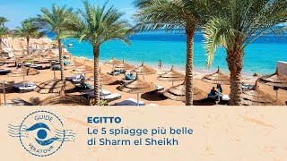 Le 5 spiagge più belle di Sharm el Sheikh [upl. by Nolrac]