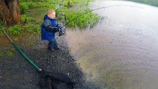 Carp fishing tips and techniques  New carp bait  How to catch carp in a lake or pond [upl. by Lustig]