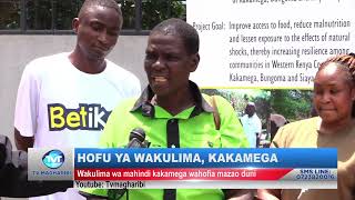 Wakulima wa mahindi kakamega wahofia mazao duni Wamelaumu kuwepo kwa mbegu mbolea ghushi [upl. by Dasya]