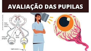 O QUE VOCÊ PRECISA SABER SOBRE AVALIAÇÃO DAS PUPILAS [upl. by Annekcm]