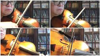 一人アンサンブルその７ Mozart String Quartet No19 Cmajor quotDissonancequot 1st Movement [upl. by Enovaj]