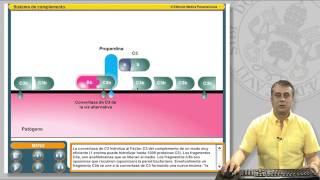 113 EL SISTEMA DE COMPLEMENTO Y SUS RECEPTORES [upl. by Dietrich257]