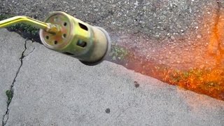 Quick amp Easy Way To Eliminate Unwanted Weeds Using A Propane Torch [upl. by Nodnil195]