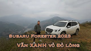 Subaru Forester 2023 vẫn là Xanh vỏ Đỏ lòng [upl. by Crescin222]