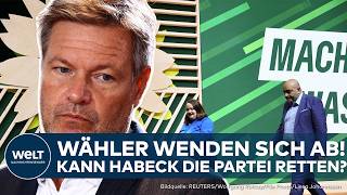 GRÜNE IN DER KRISE Wähler wenden sich ab – Von der Umweltschutzpartei zur Verbotspartei [upl. by Eilerua]