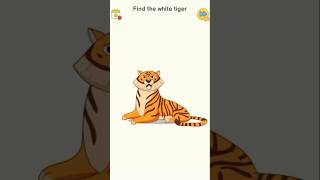 Find the white tiger [upl. by Merv147]