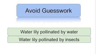 Sexual reproduction in flowering plants  Pollination  water plants  Vallisneria  Water lily [upl. by Seve747]