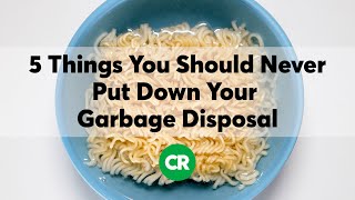 5 Things You Should Never Put Down Your Garbage Disposal [upl. by Cummins337]