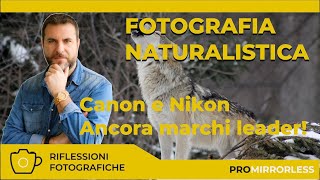 fotografia naturalistica Canon e Nikon sono ancora la scelta Preferita [upl. by Lacy566]