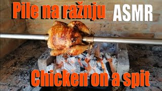 ASMR chicken on a spit pile na ražnju open fire cooking [upl. by Arabrab]