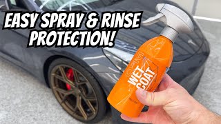 Effortless DIY Spray And Rinse Sealant Gyeon WetCoat Full Guide [upl. by Arnon86]