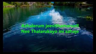 Azhalerum jeevitha maruvil Karaoke with Lyrics [upl. by Nnairrek174]