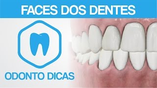 FACES DOS DENTES  ODONTO DICAS [upl. by Ahsat]